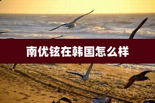 南优铉在韩国怎么样