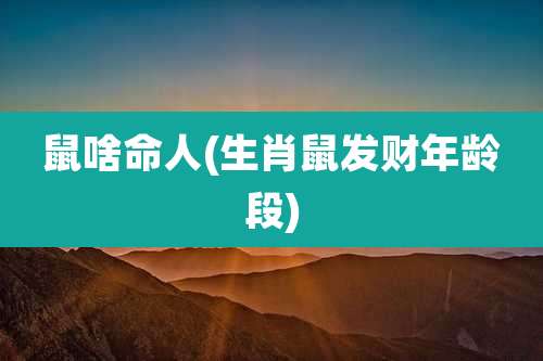 鼠啥命人(生肖鼠发财年龄段)