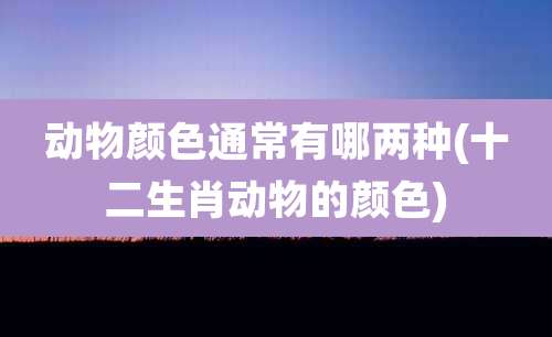 动物颜色通常有哪两种(十二生肖动物的颜色)