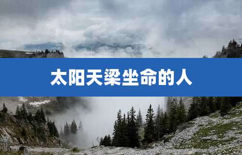 太阳天梁坐命的人