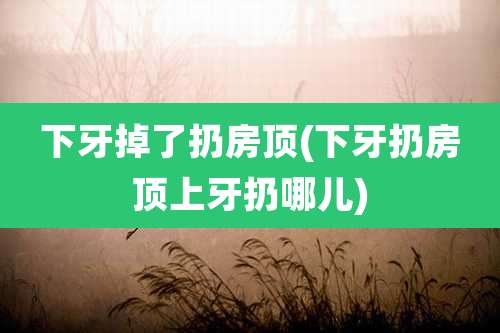 下牙掉了扔房顶(下牙扔房顶上牙扔哪儿)