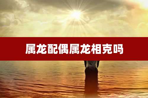 属龙配偶属龙相克吗