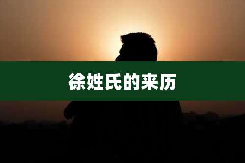 徐姓氏的来历