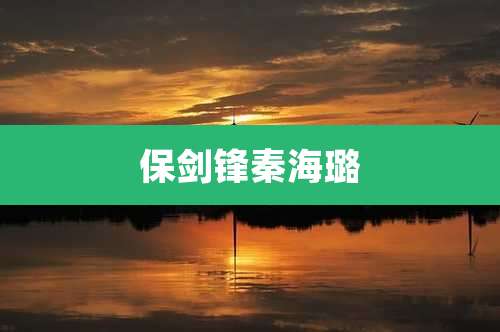 保剑锋秦海璐