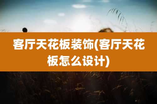 客厅天花板装饰(客厅天花板怎么设计)