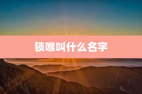 锁喉叫什么名字