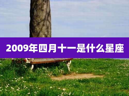 2009年四月十一是什么星座