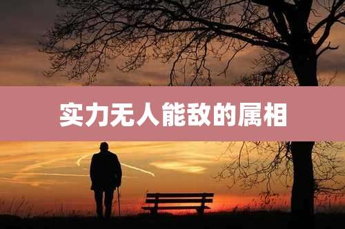 实力无人能敌的属相