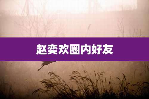 赵奕欢圈内好友