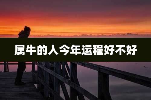 属牛的人今年运程好不好