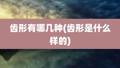齿形有哪几种(齿形是什么样的)
