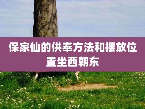 保家仙的供奉方法和摆放位置坐西朝东