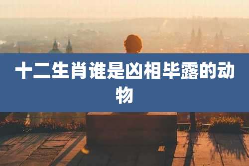 十二生肖谁是凶相毕露的动物