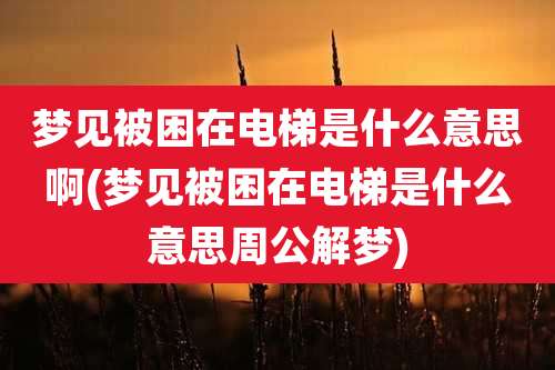 梦见被困在电梯是什么意思啊(梦见被困在电梯是什么意思周公解梦)