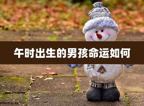 午时出生的男孩命运如何