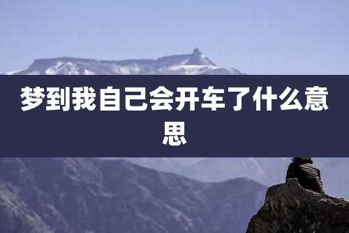 梦到我自己会开车了什么意思