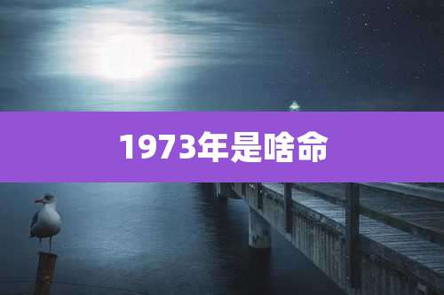 1973年是啥命