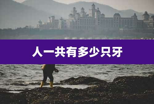 人一共有多少只牙