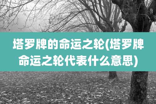 塔罗牌的命运之轮(塔罗牌命运之轮代表什么意思)