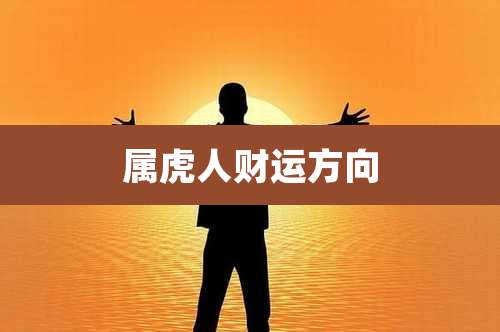 属虎人财运方向