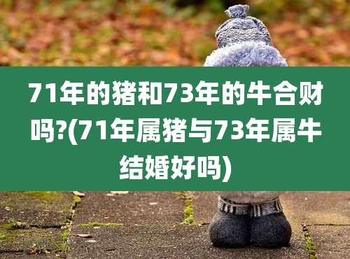 71年的猪和73年的牛合财吗?(71年属猪与73年属牛结婚好吗)