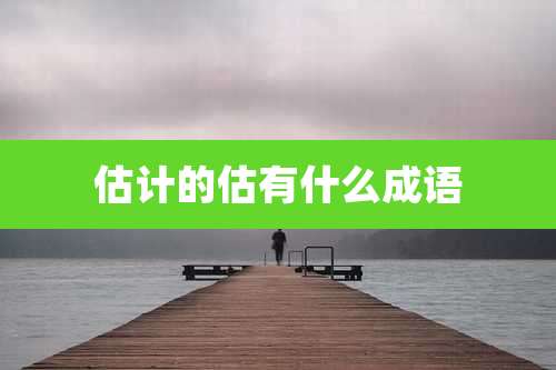 估计的估有什么成语