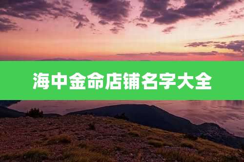 海中金命店铺名字大全