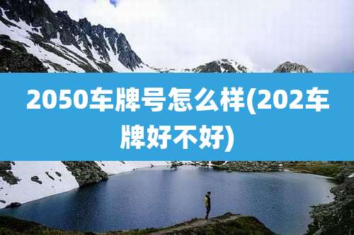2050车牌号怎么样(202车牌好不好)