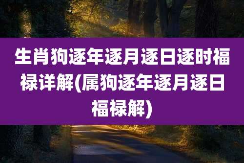 生肖狗逐年逐月逐日逐时福禄详解(属狗逐年逐月逐日福禄解)
