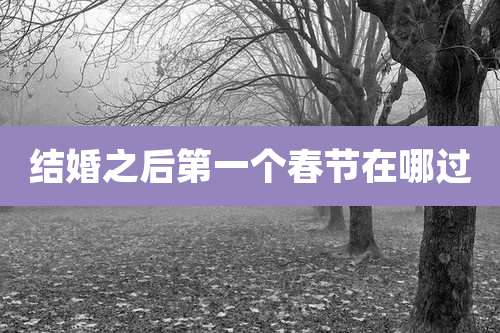 结婚之后第一个春节在哪过