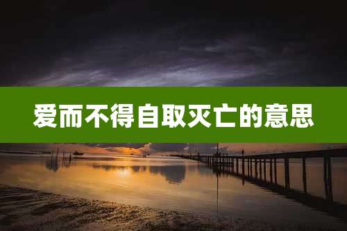 爱而不得自取灭亡的意思