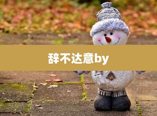 辞不达意by