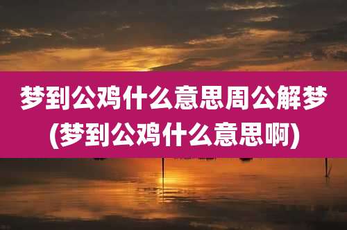 梦到公鸡什么意思周公解梦(梦到公鸡什么意思啊)