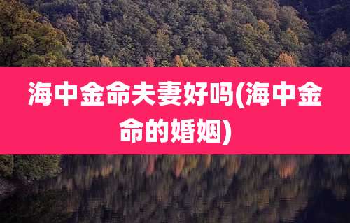 海中金命夫妻好吗(海中金命的婚姻)