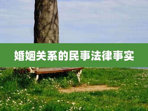 婚姻关系的民事法律事实