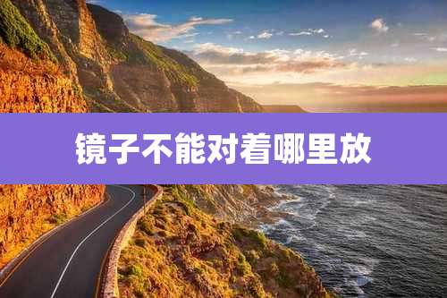 镜子不能对着哪里放