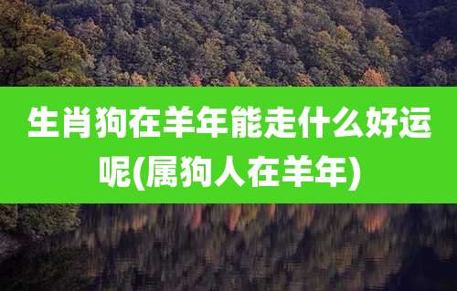 生肖狗在羊年能走什么好运呢(属狗人在羊年)