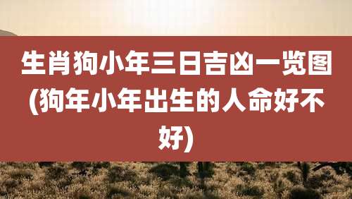 生肖狗小年三日吉凶一览图(狗年小年出生的人命好不好)