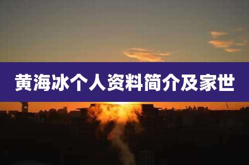 黄海冰个人资料简介及家世