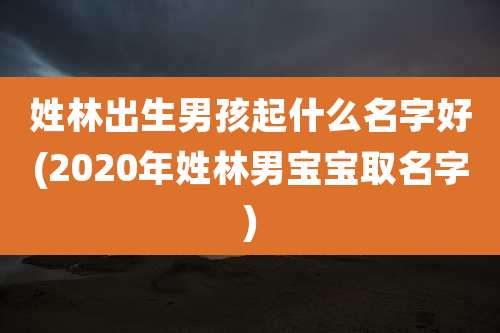 姓林出生男孩起什么名字好(2020年姓林男宝宝取名字)