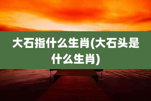 大石指什么生肖(大石头是什么生肖)