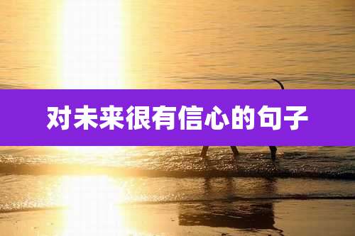 对未来很有信心的句子