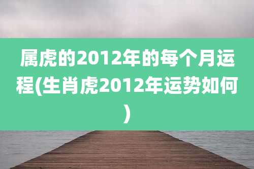 属虎的2012年的每个月运程(生肖虎2012年运势如何)