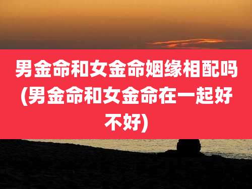 男金命和女金命姻缘相配吗(男金命和女金命在一起好不好)