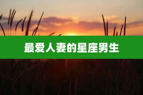 最爱人妻的星座男生