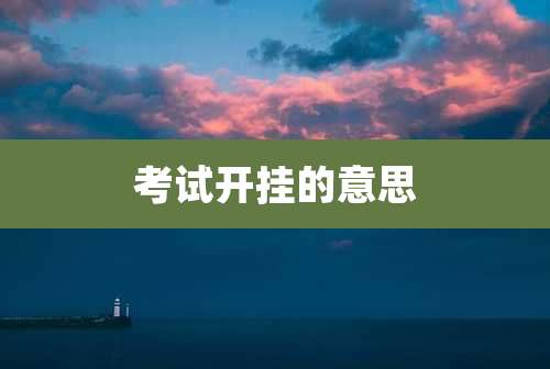 考试开挂的意思