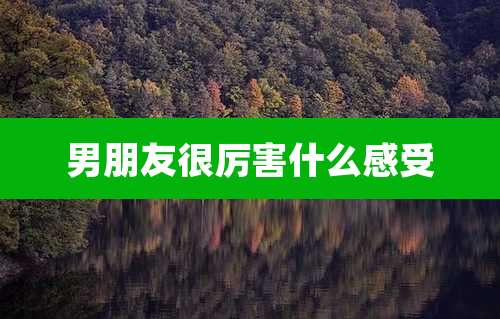 男朋友很厉害什么感受