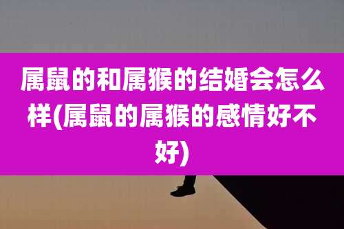 属鼠的和属猴的结婚会怎么样(属鼠的属猴的感情好不好)