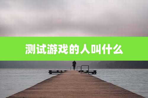 测试游戏的人叫什么