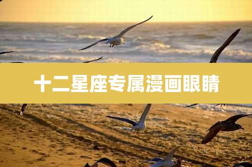 十二星座专属漫画眼睛